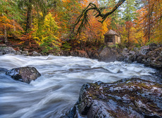 1st. River Scene - The Hermitage - Michael Kelso