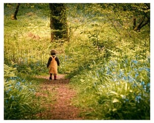 1st. Searching for Winnie the Pooh - Andrew Hall