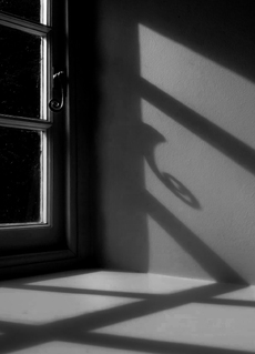 2nd - Shadow detail - Derrick Phillips