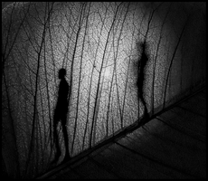 3rd - Skeletal leaves - Isobel Shaw