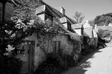 Arlington Row - Dane Love