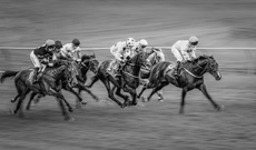 At the Races - Michael Kelso