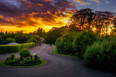 Ballochmyle Sunset - Saeid Ullah