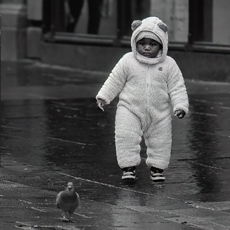 Chasing Pigeons - Michael Kelso