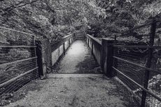 Concrete Bridge - Tom Nelson