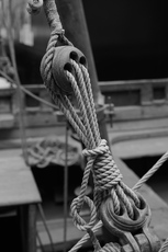 Deadeye - Andrew Muspratt