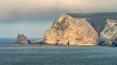 Edge of the World - Michael Kelso