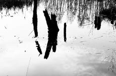 Eglington Country Park - John Mould