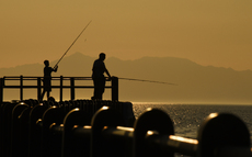 Fishing from the jetty - Derrick Phillips