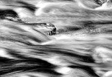 Flowing Water - Ian McClue