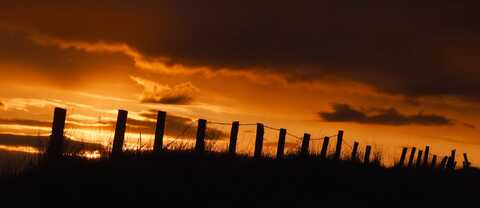 Joint 2nd - An old fence at sunset - Derrick Philips