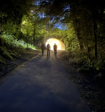 Out of the Alloway tunnel - Zandra Waterford