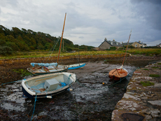 Portencross - Dane Love