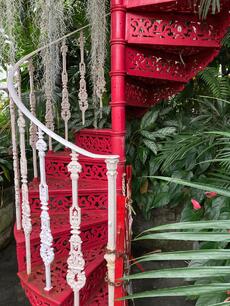 Red & Green - Zandra Waterford