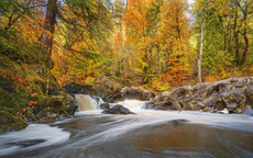 River Braan - Michael Kelso