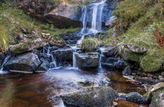Small waterfall - Tom Nelson