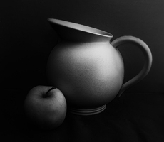 Still life - Isobel Shaw