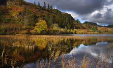 The Black Loch - Derrick Phillips