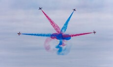 The Fan - Tom Nelson