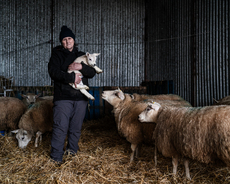 The Shepherdess - Andrew Hall