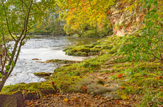 The Way Ahead - Tom Nelson