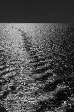 Track on the Med - Tom Nelson