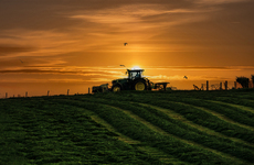 Tractor at sunset - Isobel Shaw
