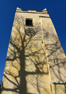 Tree Tower - Dane Love