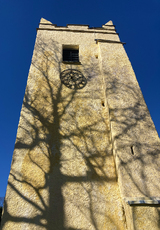 Tree Tower - Dnae Love