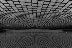 Under the net - Tom Nelson