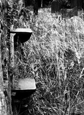 Well worn steps - Ian McClue