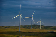 Windmills - Saeid Ullah