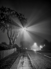 Mist and light - Isobel Shaw