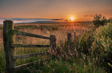 Sunset - Isobel Shaw